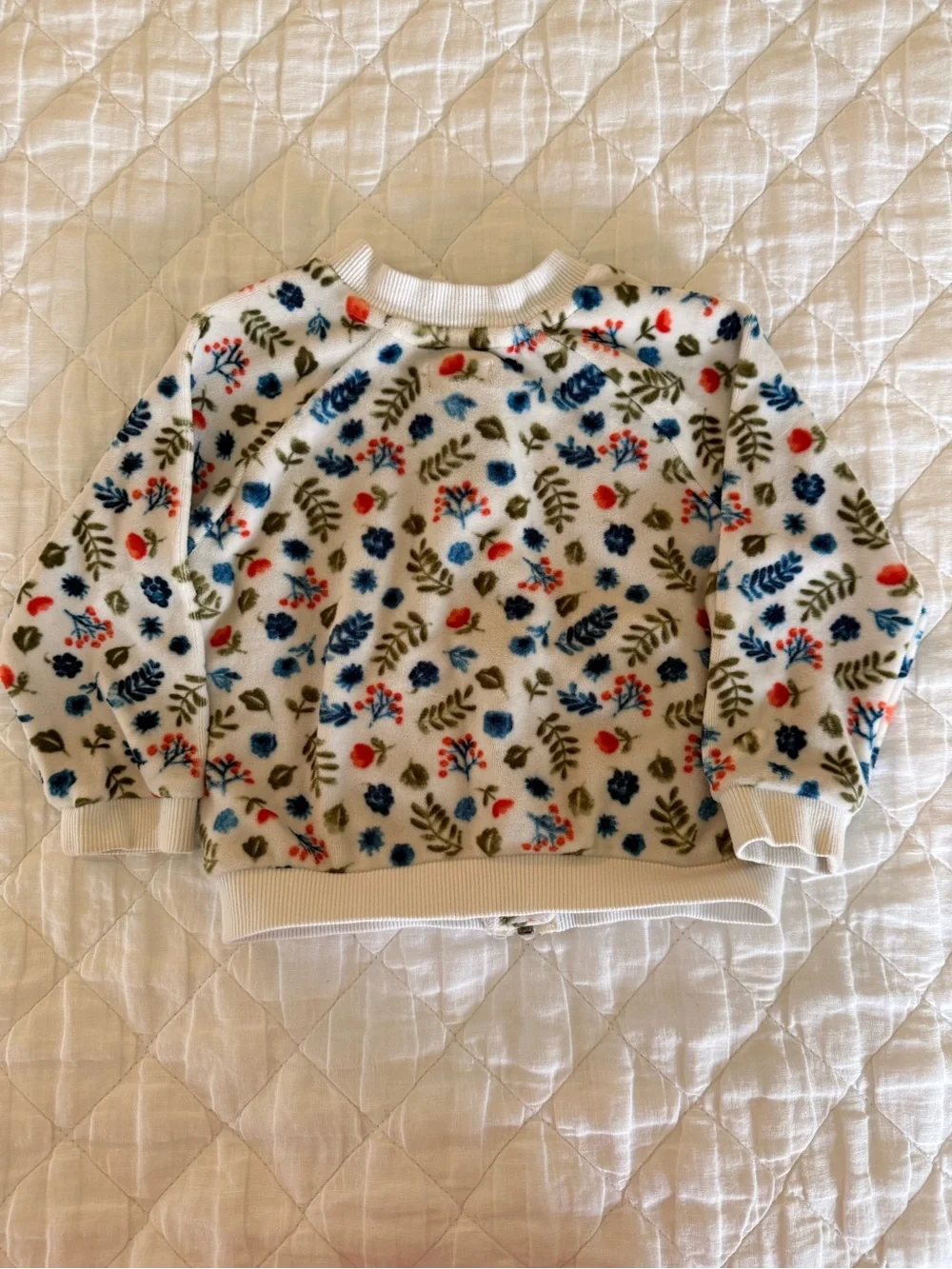 Gymboree Baby Floral Zip-Up Velour Sweatsuit